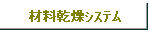 ޗ